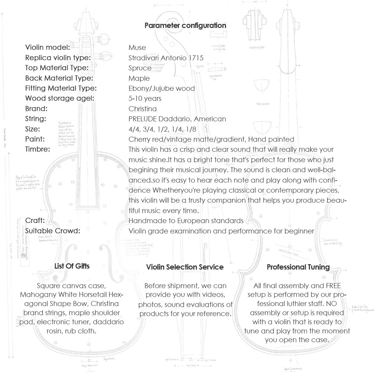 Beginner 4/4 violin kit with case, bow, tuner, rosin, shoulder rest, and accessories