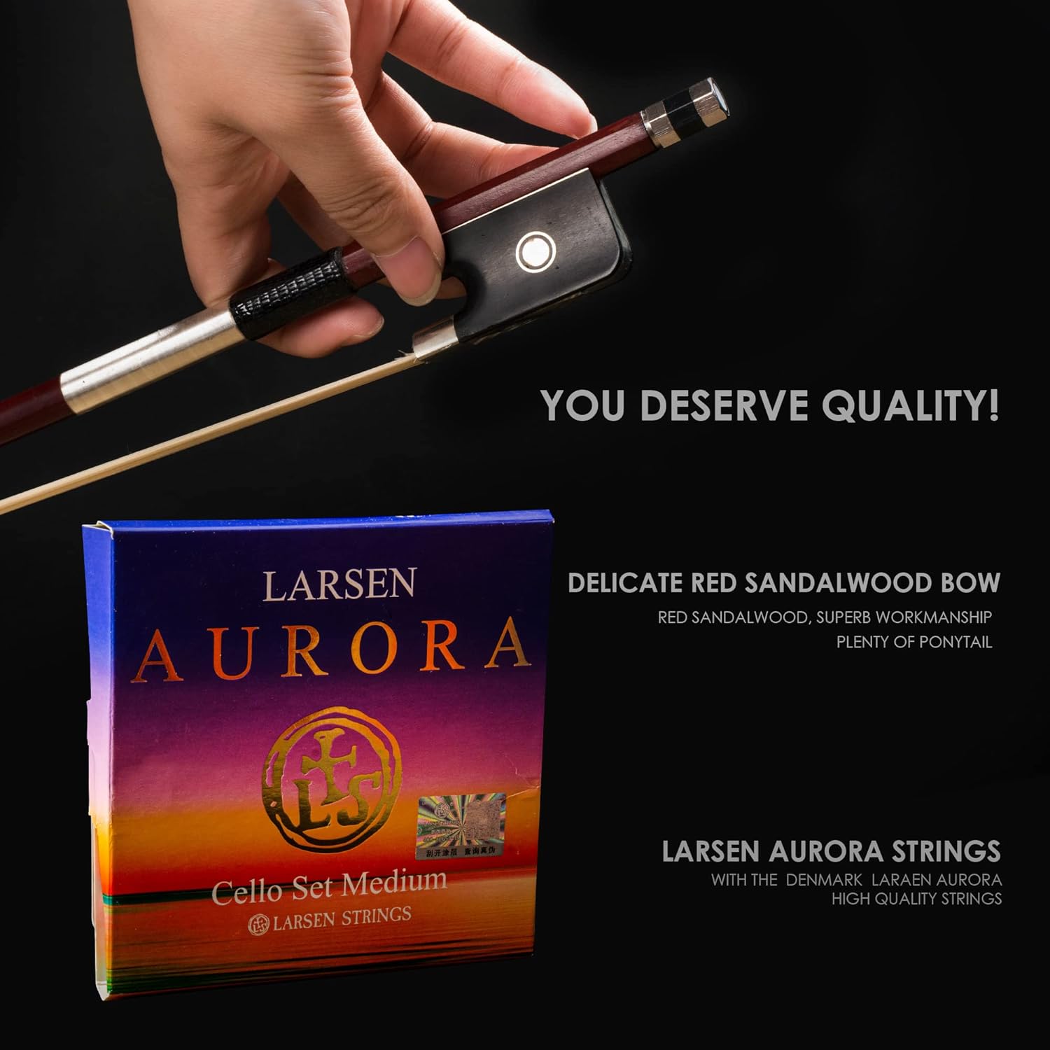 Christina C09A 4/4 Professional Handmade Cello Kit for Adults with Carbon Fiber Case & Bow - CHRISTINA