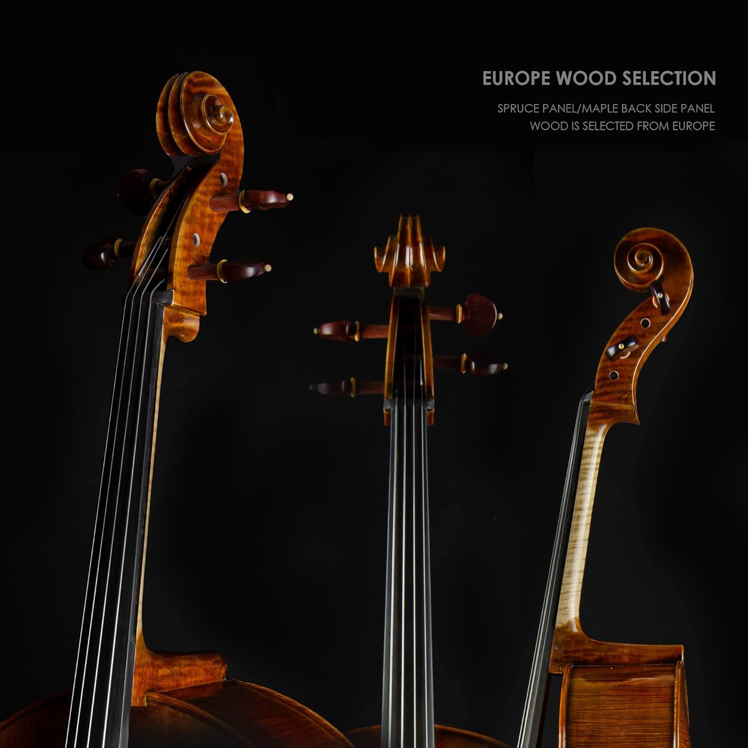 Christina C09C Full Size 4/4 Handmade Cello Kit for Adults with Carbon Fiber Case & Bow - CHRISTINA