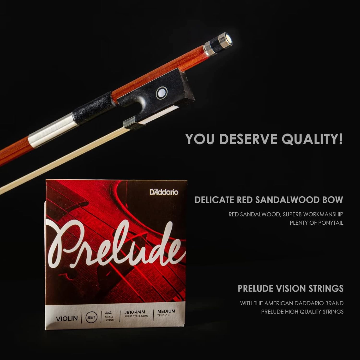 Christina V05A Handmade Acoustic Violin Kit for Beginners & Professionals, European Craftsmanship, Complete Violin Set - CHRISTINA