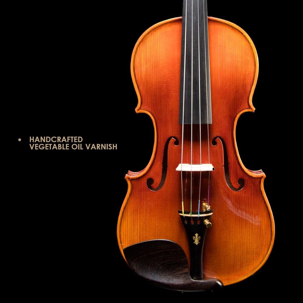 CHRISTINA V05C Handmade Professional Acoustic Violin Kit for Beginners and Adults - CHRISTINA