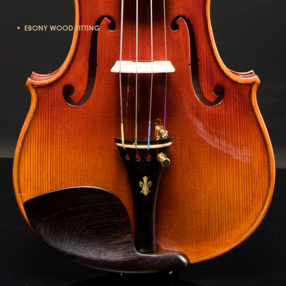 CHRISTINA V05C Handmade Professional Acoustic Violin Kit for Beginners and Adults - CHRISTINA